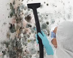 Environmental Consulting for Mold Prevention in Ford Heights, IL